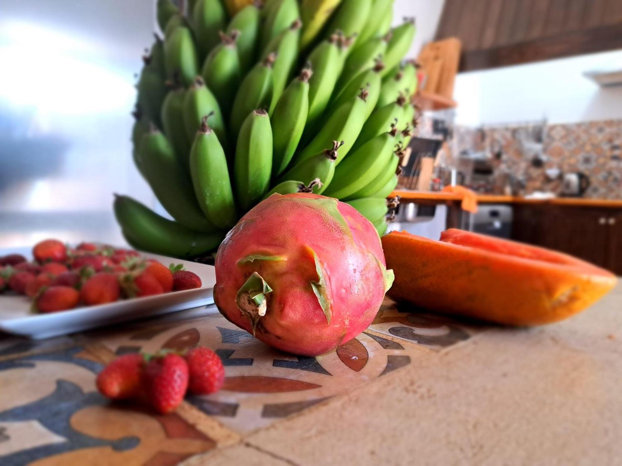 Finca Isolina Hotel Boutique - Adults Recommended Macher ภายนอก รูปภาพ